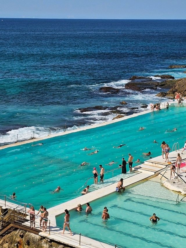 시드니 🇦🇺 많은 사람들이 사랑하는 해변 ⛱️