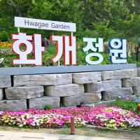 아름다운 꽃들의 향연  <화개정원>