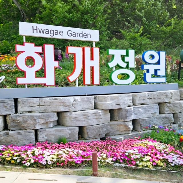 아름다운 꽃들의 향연  <화개정원>