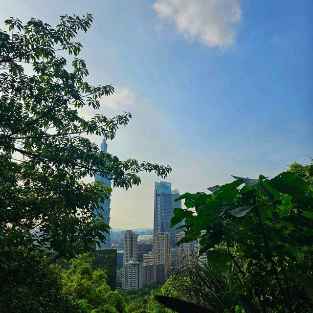 【臺北】市民喜愛的郊山步道之一，適合各年齡層的登山愛好者。