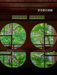 青もみじのリフレクションに酔いしれる【嵐山 祐斎亭】