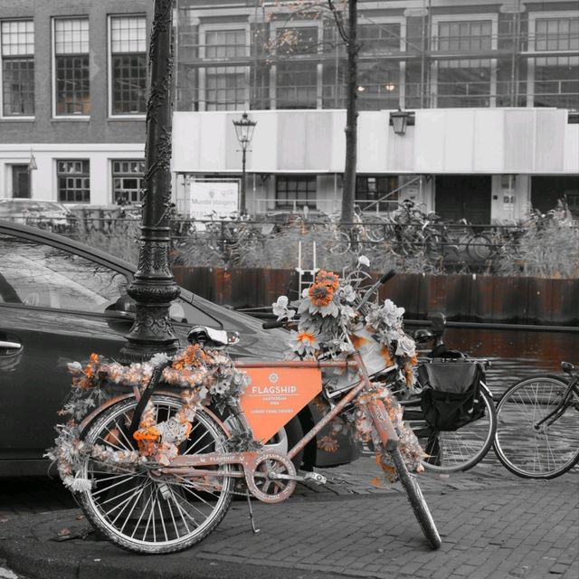 🇳🇱蘋果派與荷蘭國家博物館