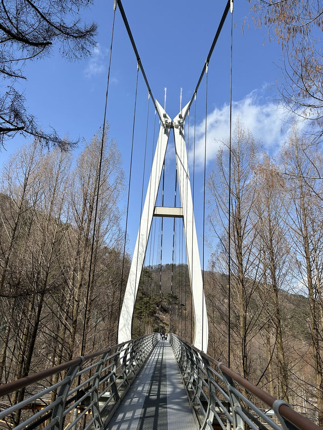 대전 출렁다리 추천🩶🩵