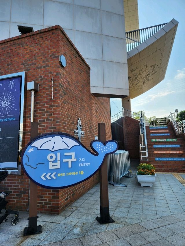 흥미로운 실내데이트 장소 장생포 고래박물관👍