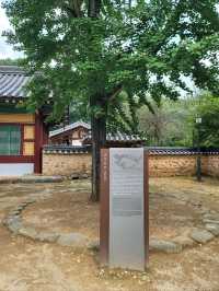 조용히 사색하기 좋은 장성 필암서원🤎
