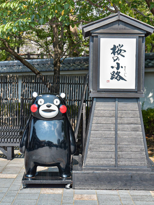 JALで行く 日帰り熊本旅行