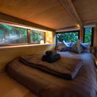 บ้านในหมง treehouse 