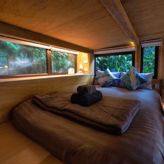 บ้านในหมง treehouse 