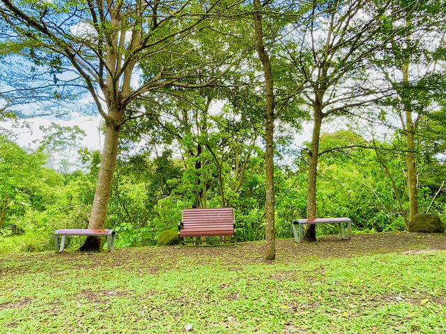 The park is very kid-friendly 👬👫🏃🏻‍♀️🏃