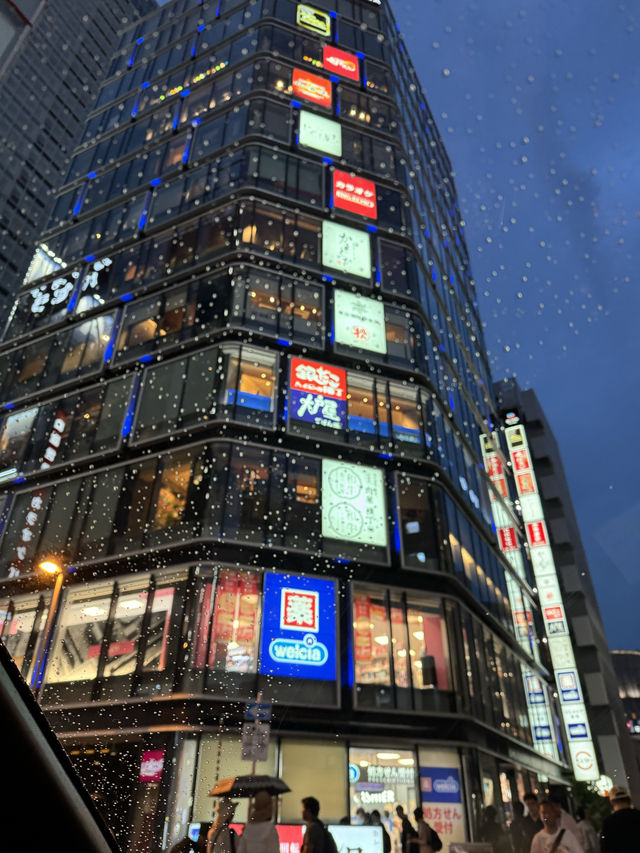 東京遊記の東京市