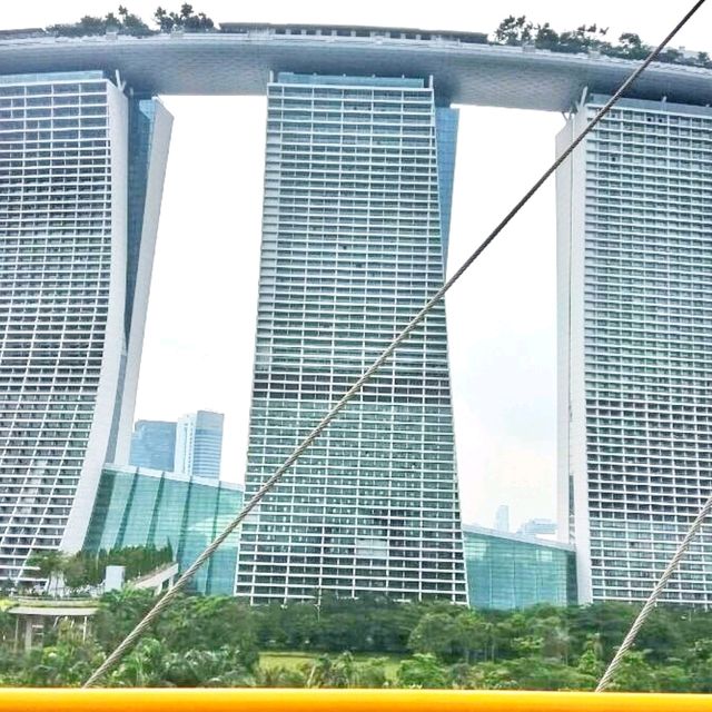 🇸🇬 Gardens by the Bay: A Symphony of Green in the City
