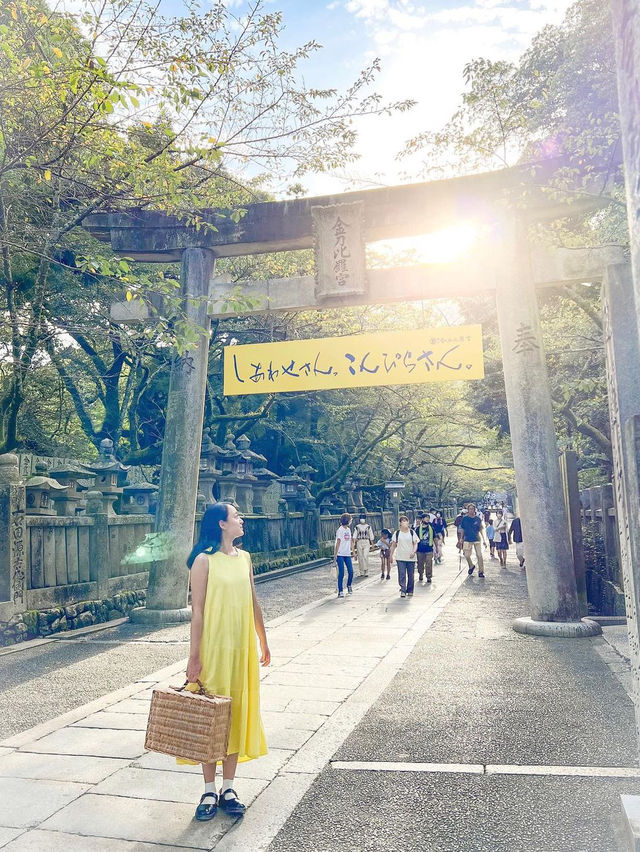 【香川】絶対に外せない香川の絶景スポット