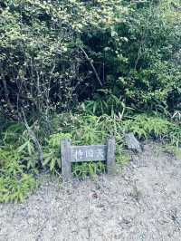 【滋賀/大津】叶匠寿庵が手がける菓子づくりの里山