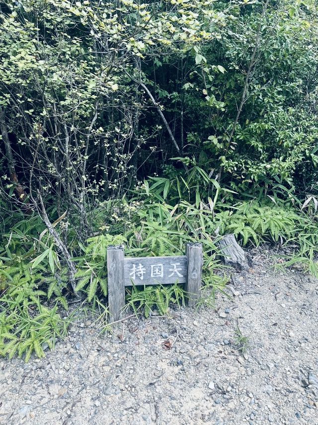 【滋賀/大津】叶匠寿庵が手がける菓子づくりの里山