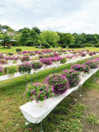 【明石】イベント開催中の明石公園