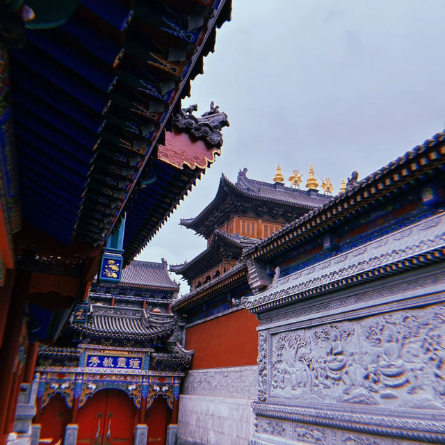 🌿靜心修行的理想之地🧘‍♂️金台寺