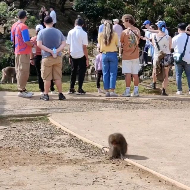 嵐山半日遊