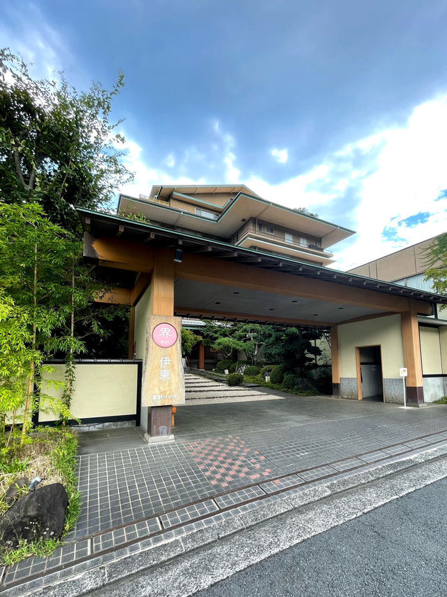【静岡/伊東】宿泊特典！椿油抽出体験！🌼