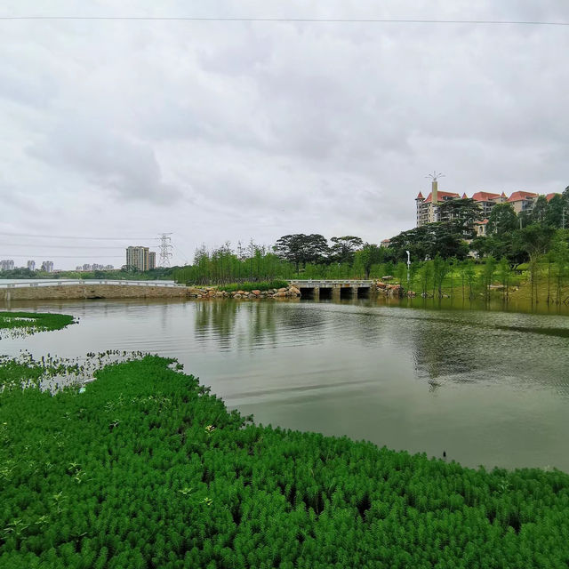 高螺村濕地公園：美麗鄉村濕地🌾🐦