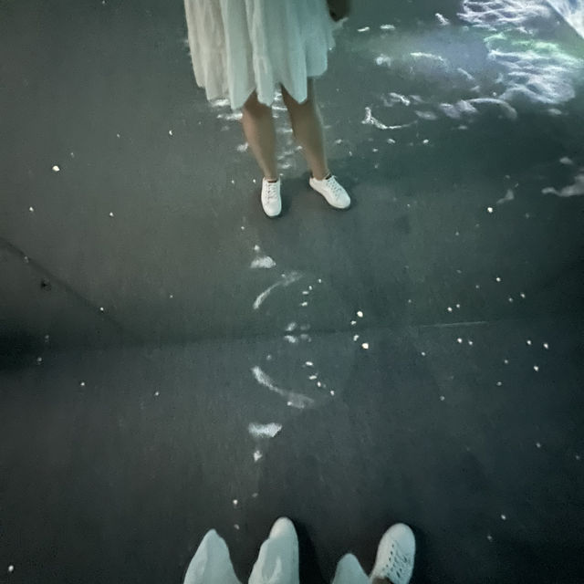 Immersive Delights at Arte M: A Serene Exploration