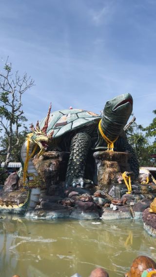   พญาเต่างอย