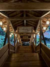 【京都紅葉】とても綺麗な花手水がたくさんあるお寺！