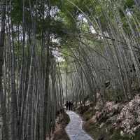 Anhui-Huangshan Emerald Valley
