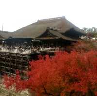 🇯🇵京都東福寺｜火燒通天橋的絕美楓紅