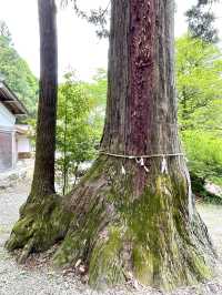 【埼玉県】熊野三山の写し霊場