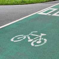 ปั่นจักรยานชมชมพูพันธุ์ทิพย์ 🚲 