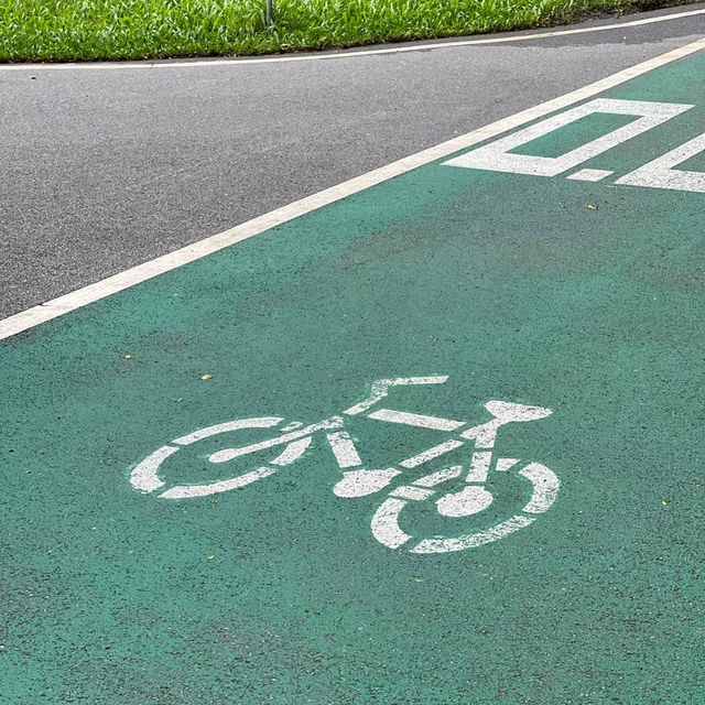 ปั่นจักรยานชมชมพูพันธุ์ทิพย์ 🚲 