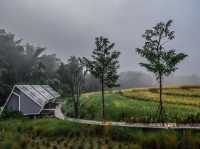 ที่พักติดลำธาร สะเมิง จ.เชียงใหม่
