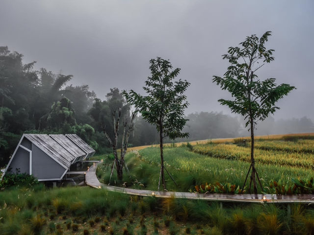 ที่พักติดลำธาร สะเมิง จ.เชียงใหม่