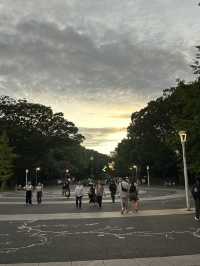 도쿄 요요기 공원에서 산책하기🌳💚