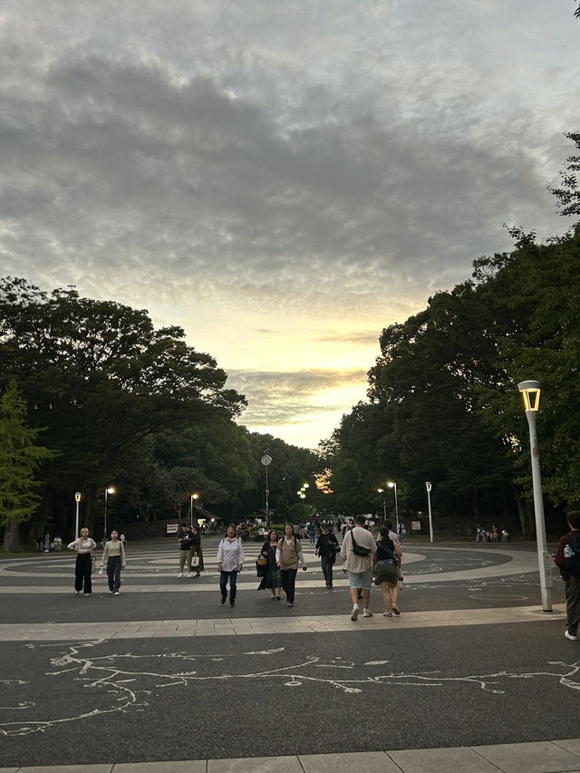 도쿄 요요기 공원에서 산책하기🌳💚