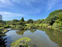 Shinjuku Gyoen National Garden: A Serene Oasis Amidst the Urban Jungle