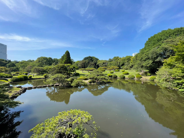Shinjuku Gyoen National Garden: A Serene Oasis Amidst the Urban Jungle