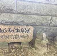Fukuoka,Kurume 🐸