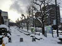 冬季函館遊