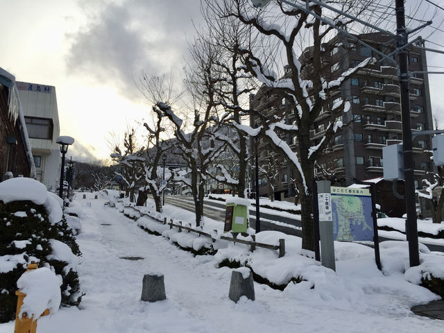 冬季函館遊