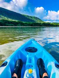 【西表島】マングローブのトンネルをカヌーで探検🛶