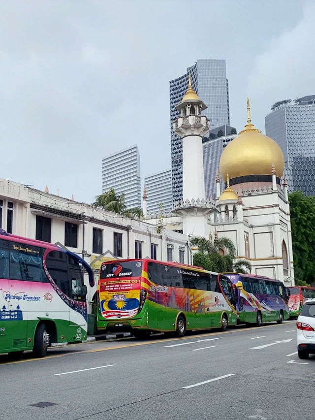 Efficient and Reliable: Exploring Singapore's Bus Network! 