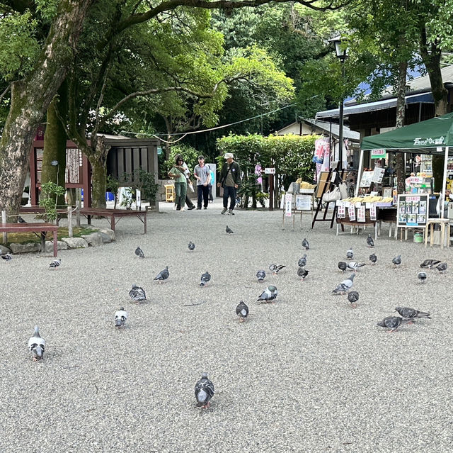 日本福岡熊本城、水前寺旅遊分享