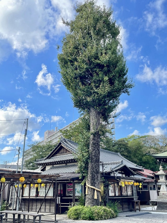 【千葉県】名物⁉︎のアイーン狛犬が見られる神社