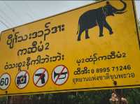 ถนนสาย 1175 บ้านตาก-แม่ระมาด