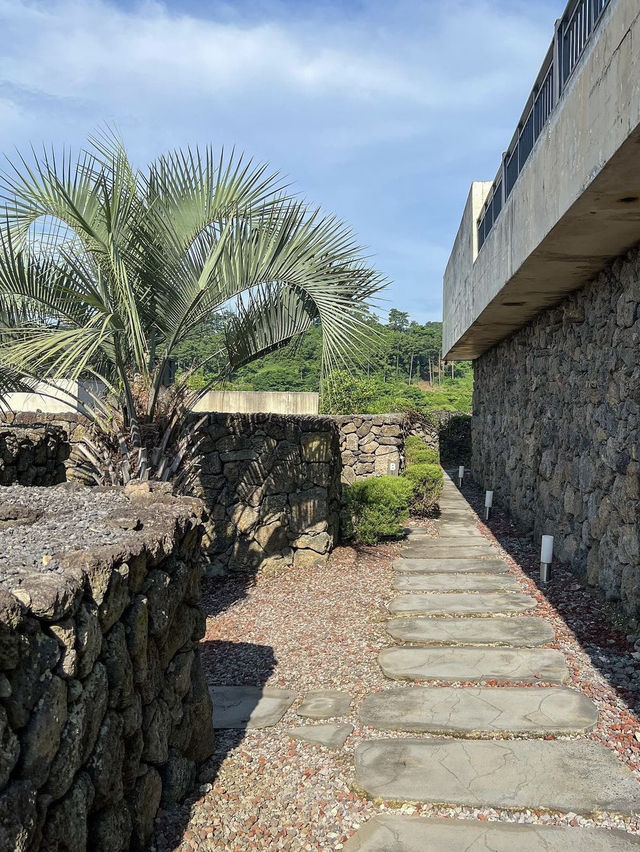 제주 애월 돌담이 예쁜 자쿠지숙소🌴🏠 