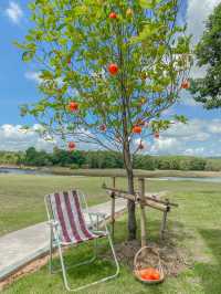  The Yard - Suksamran -