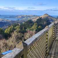 Larnach Castle Garden's Timeless Charm