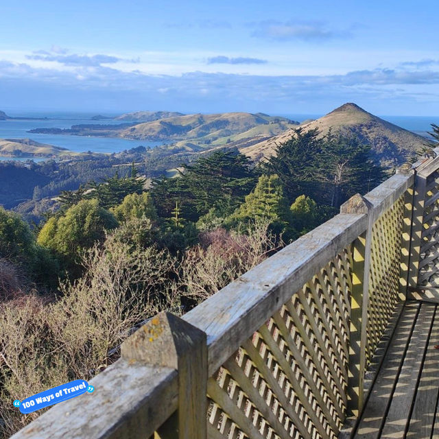 Larnach Castle Garden's Timeless Charm