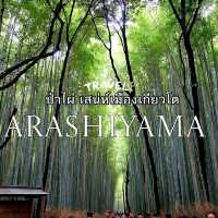 เสน่ห์เมืองเกียวโต ป่าไผ่ Arashiyama
